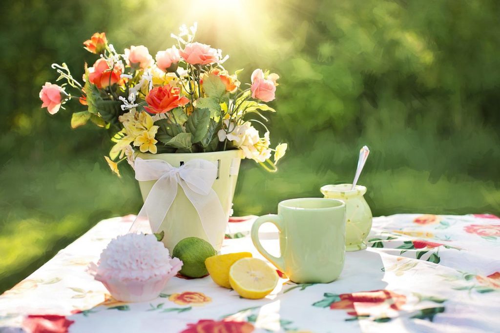 summer, still-life, garden-783347.jpg